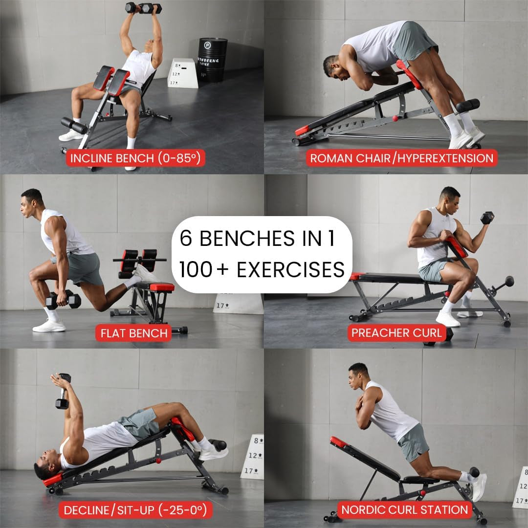 Finer Form Multi-Functional Adjustable FID Weight Bench and Roman Chair - 1,000 lb Capacity, 23 Settings for Flat, Incline, and Decline Workouts, Equipped with Transport Wheels and Exercise Chart